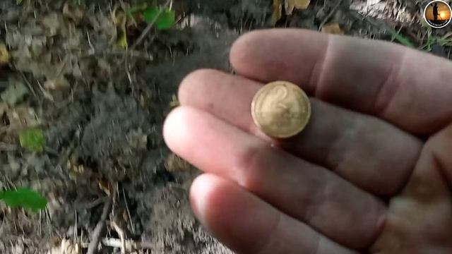 Пятнадцать, в одном месте.