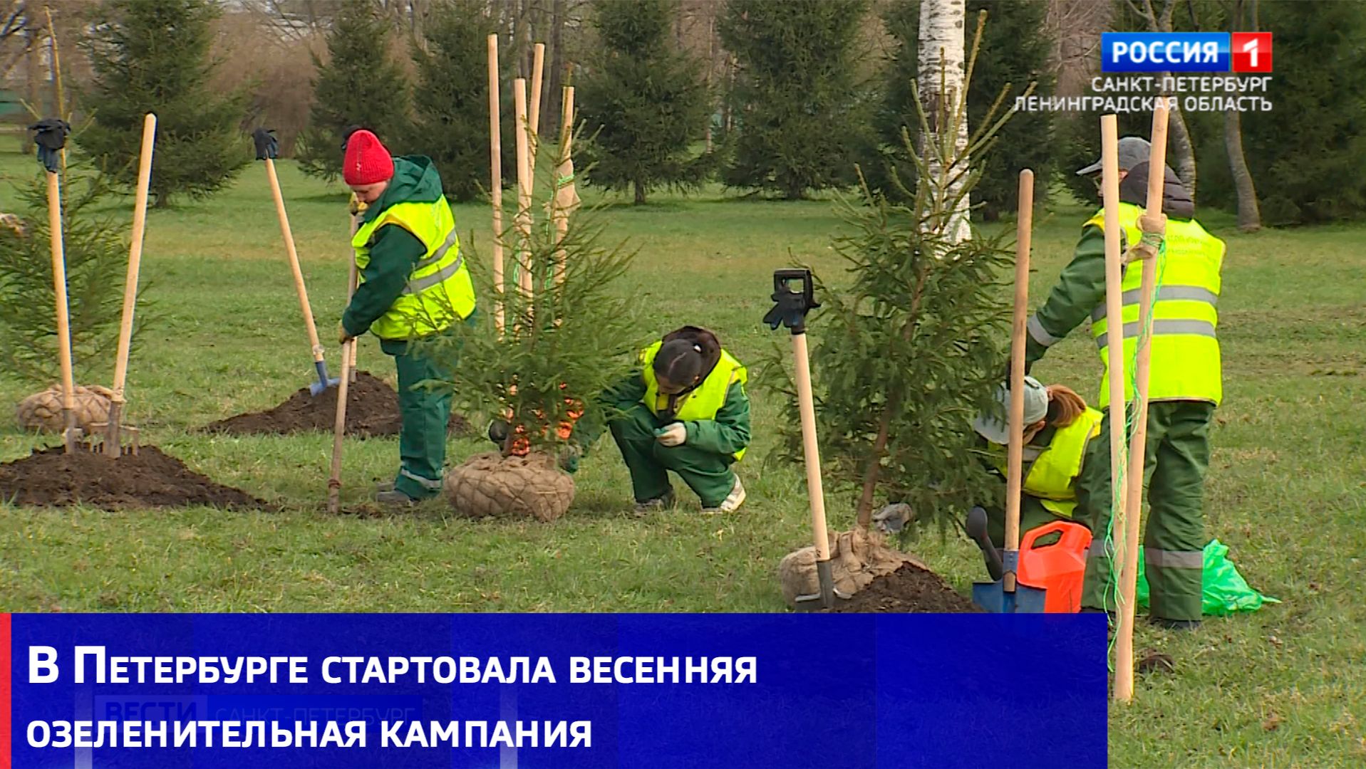 В Петербурге стартовала весенняя озеленительная кампания