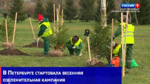 В Петербурге стартовала весенняя озеленительная кампания