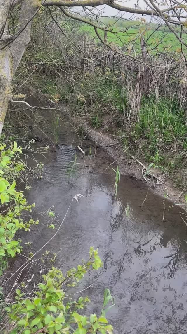 Дагестан сегодня