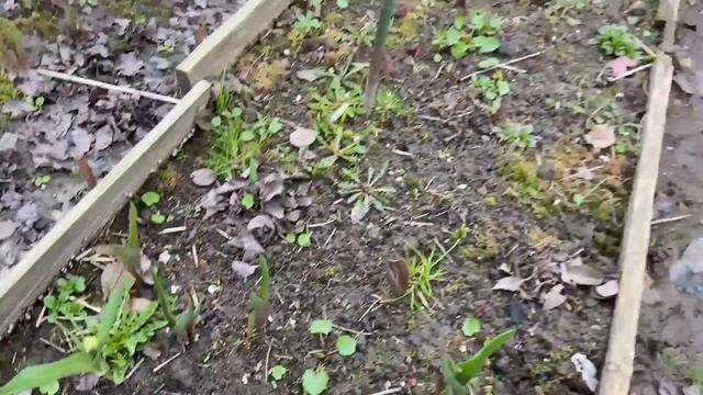 Обзор выходного дня 19 апреля