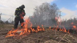 С 20 апреля в Московской области будет введен особый противопожарный режим