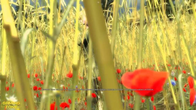 Ведьмак #37 ✘ ОТ ЛЮБВИ ДО НЕНАВИСТИ. ТЕМНОВОДЬЕ. Прохождение в 2К