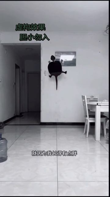 я черепаха 🐢китайская