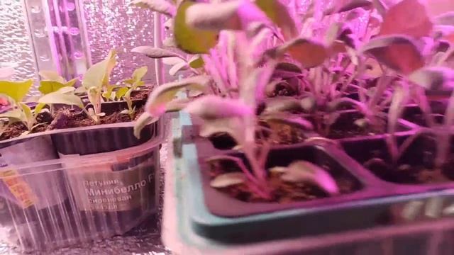 Зимняя сказка🌨🌨🌨