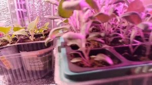 Зимняя сказка🌨🌨🌨