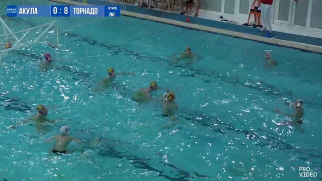 Обзор игры | Белая Акула - Торнадо | 19.04.2026