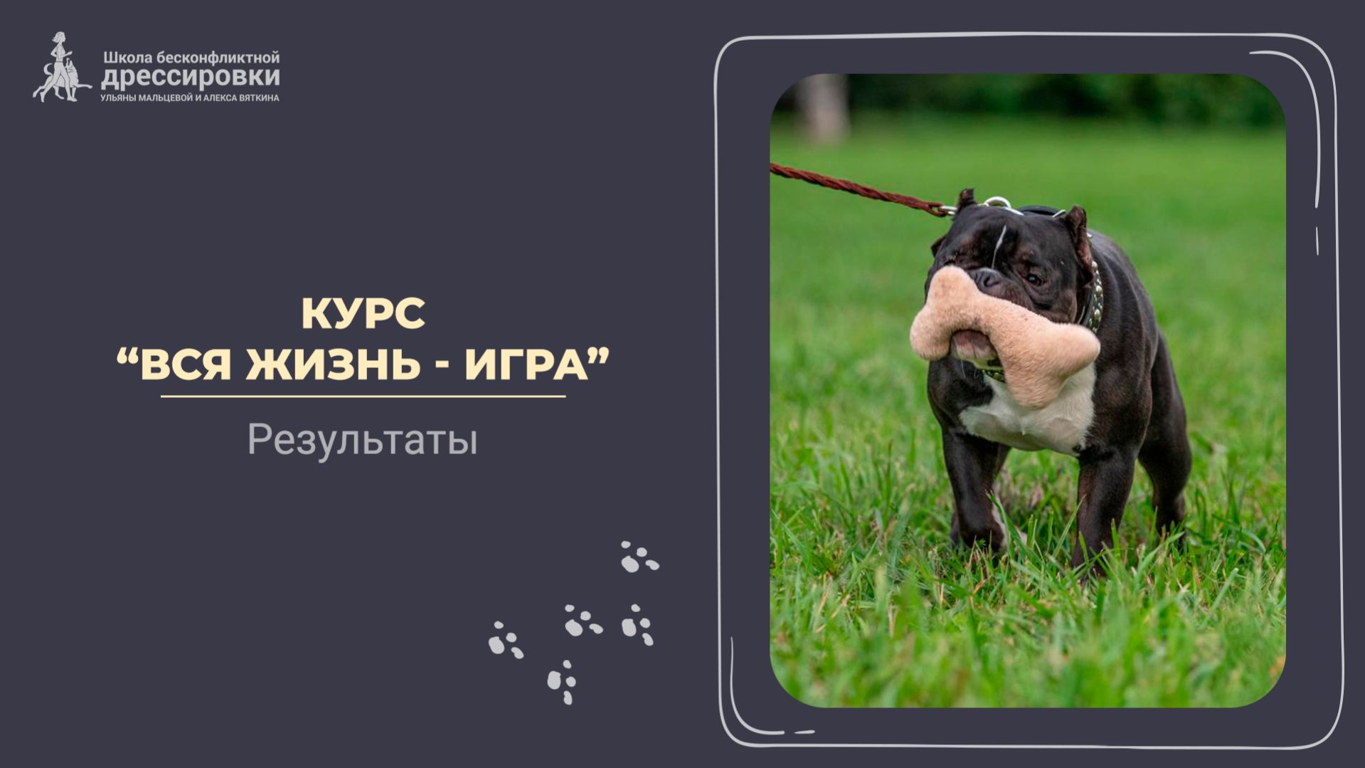 Результаты курса 