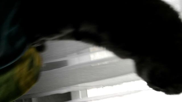 VID_20260420_162138.mp4