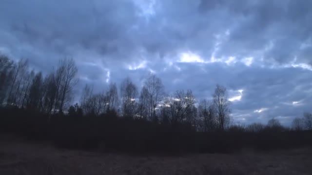 ОХОТА НА ДОЛГОНОСИКОВ