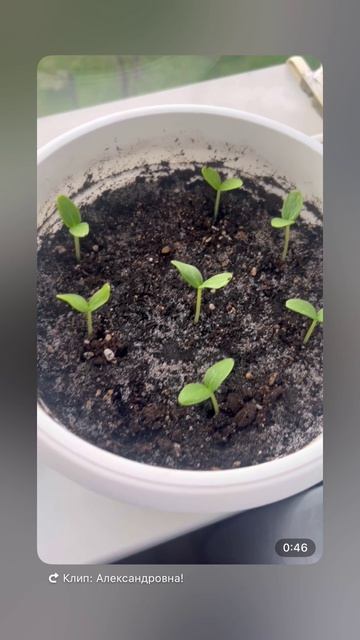 Как же хорошо жить с видом на море ! #море #тучи #весна