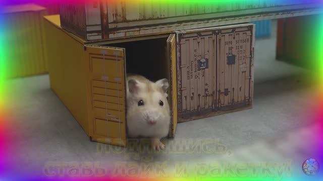 Хомяк в ловушке в невероятном лабиринте: каждый поворот - сюрприз! часть 3