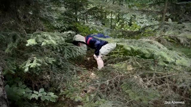 Песня про Путина Пародия деда Архимеда на песню группы Любэ Конь