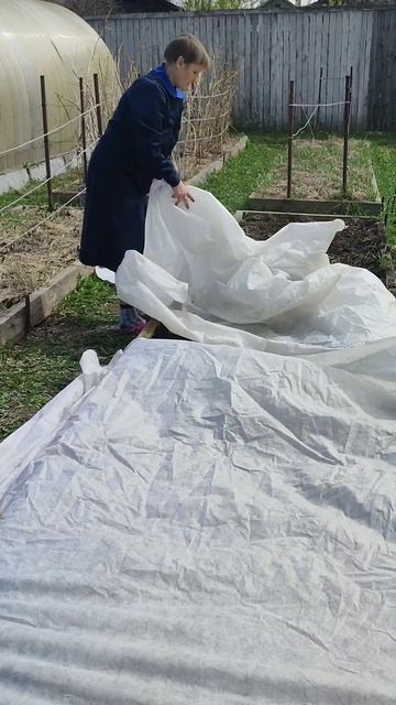 Как мульчировать морковь.