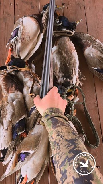 Simson 74 и утинная охота #охота #охотник #оружие #охотанаутку #технологииохоты