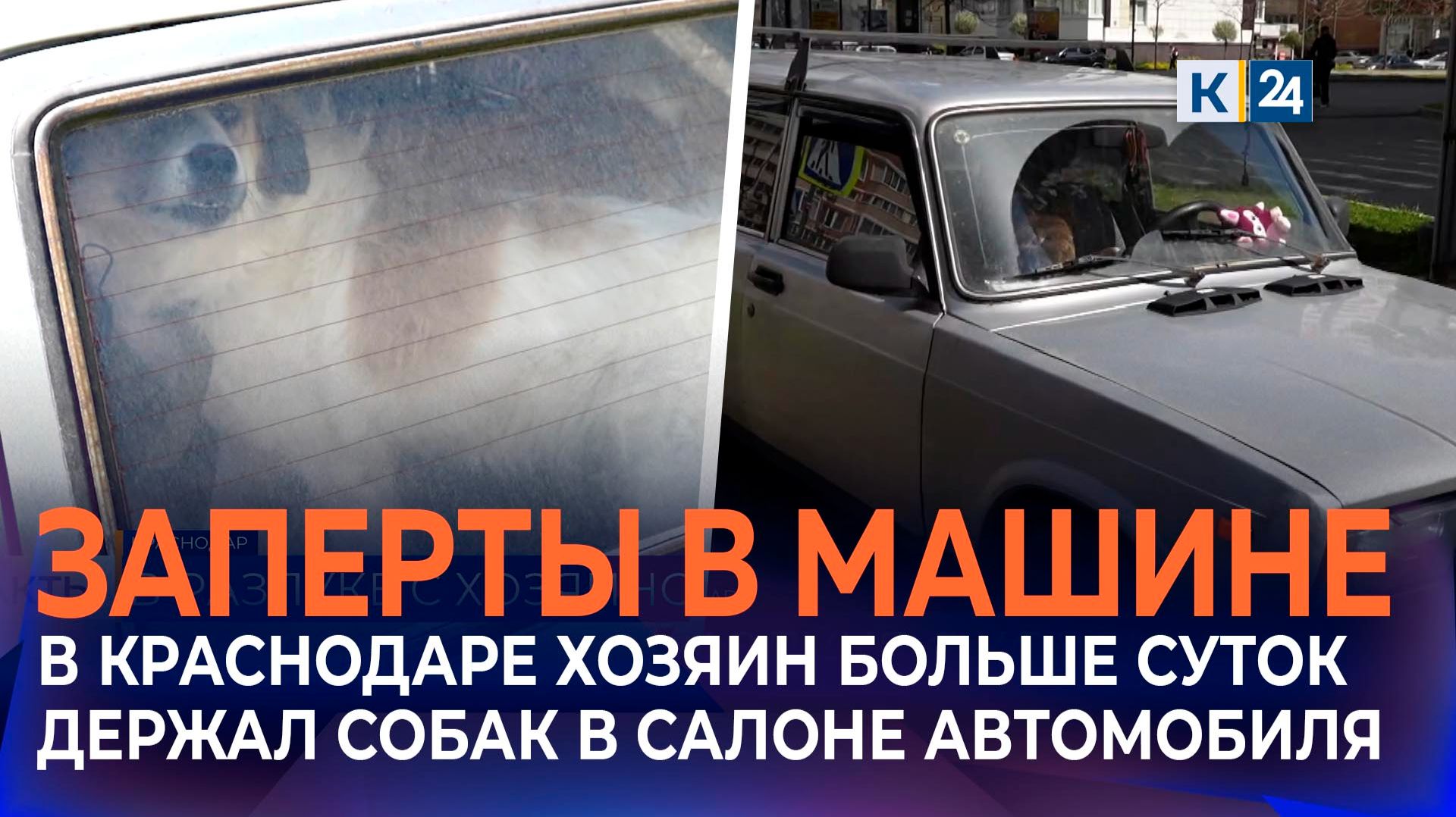Запертых в припаркованной легковушке собак заметили на Гидрострое в Краснодаре