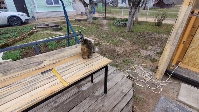 Пришла помогать)