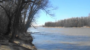 На Оби за  ж_д мостом. г. Барнаул.