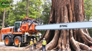 Экстремальные, опасные и большие бензопилы, большая подборка.