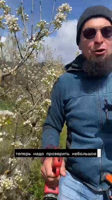 Обрезка во время цветения.