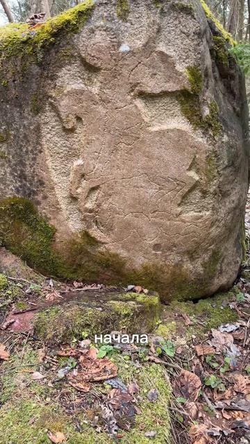 Copy_FB5A712A-9469-48B4-952E-0FCACD22307E