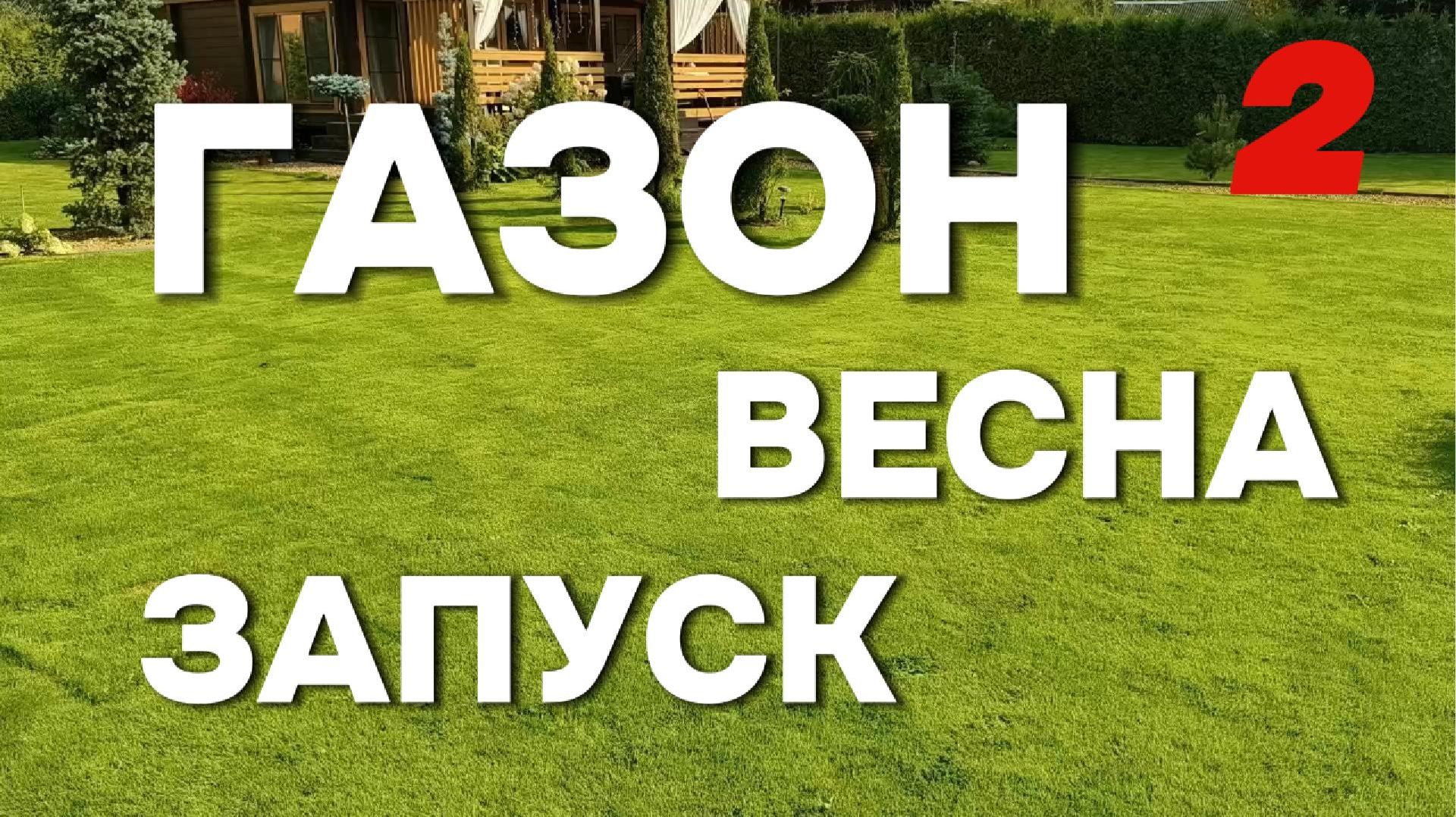 ПРОДОЛЖЕНИЕ. Аммиачная селитра для газона: результат через 3–5 дней