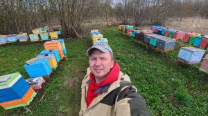 пчелкам холодно #Пчеловодство#пчелы#природа