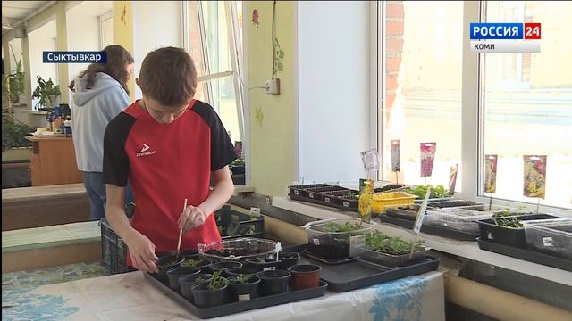 Воспитанники детского дома имени А. Католикова готовятся к посевной