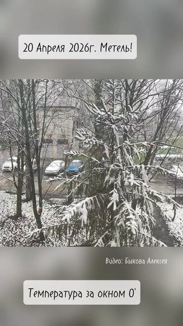 Метель! 20 Апреля 2026г.❄️