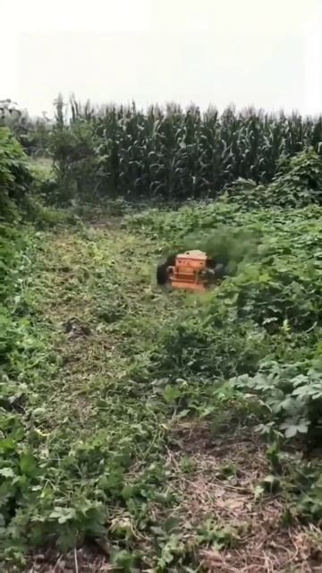 Старший брат робота-пылесоса