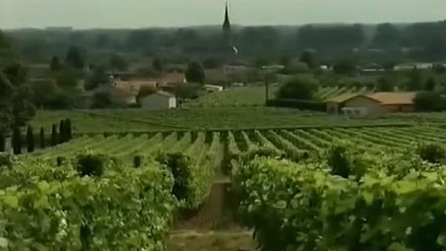 Плесень Фильм Первого канала 2009 год [get.gt]