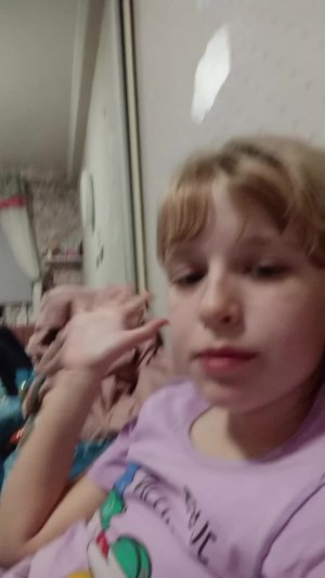 всех с добрым вечером