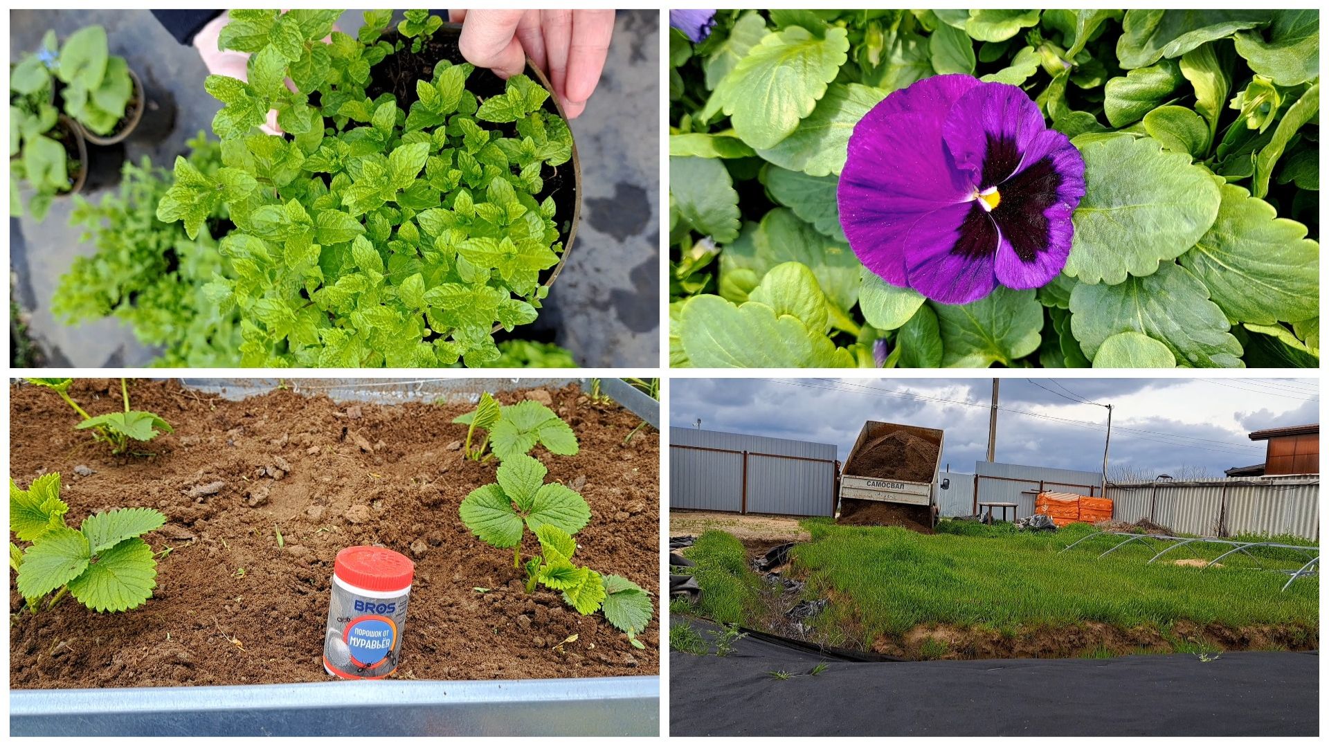 Были в питомнике! На участке много работы! Собирали грядки, разбирала клубнику! Привезли грунт!