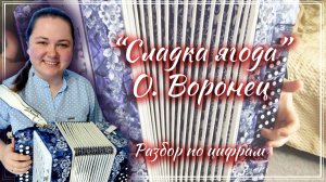 СЛАДКА ЯГОДА (О. Воронец) ► Разбор на гармони
