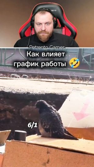 Петренто График