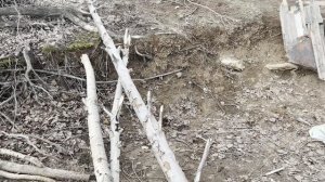 Первая рыбалка после зимы