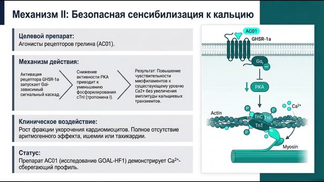 Новые терапевтические направления инотропной терапии при сердечной недостаточности. 31 марта 2026
