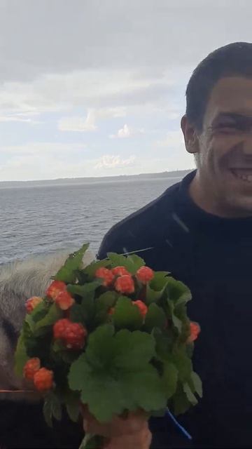 26 июля 2022 г.