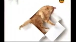 Рекламные блоки, анонсы и переход вещания (РЕН ТВ 7 канал (Красноярск), 20.04.2012)