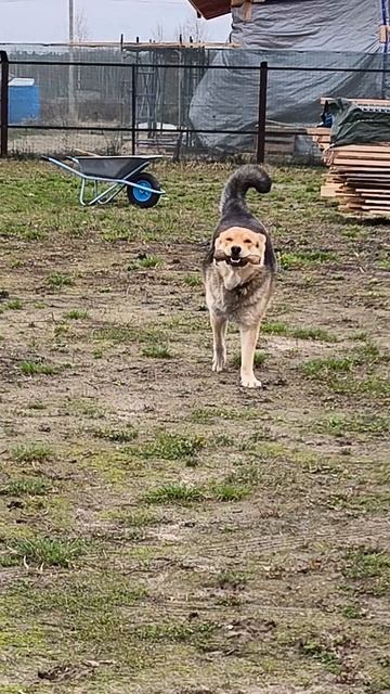 С днём рождения Тимулька, нам сегодня год.
