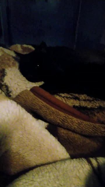 Почти спит, но контролирует