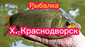Ловим карася Ростовская область Х. Краснодворск.