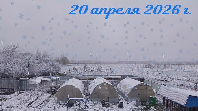 Апрельские сюрпризы . Куда спешим ? Реальные истории  из моего прошлого