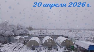 Апрельские сюрпризы . Куда спешим ? Реальные истории  из моего прошлого