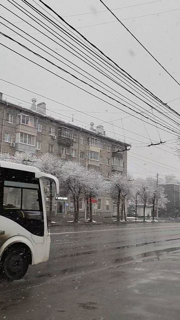 Снежный апрель ❄️