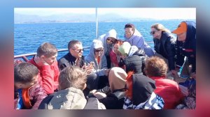 Апостол Нетления - это Посланник Христа. Глубже в Недра Отца. - 08-04-2026