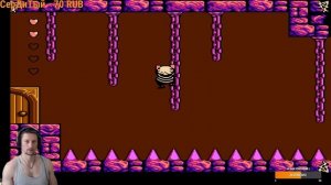 Addams Family, The - Pugsley's Scavenger Hunt Nintendo  1992 г. №8