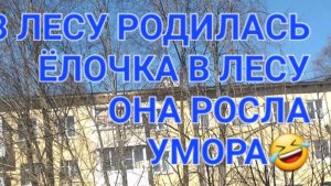 УМОРА!!!🤣🤣🤣🤣🤣 ЁЛКА ВО ДВОРЕ