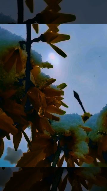 Весеннее ненастье ( 2 день)