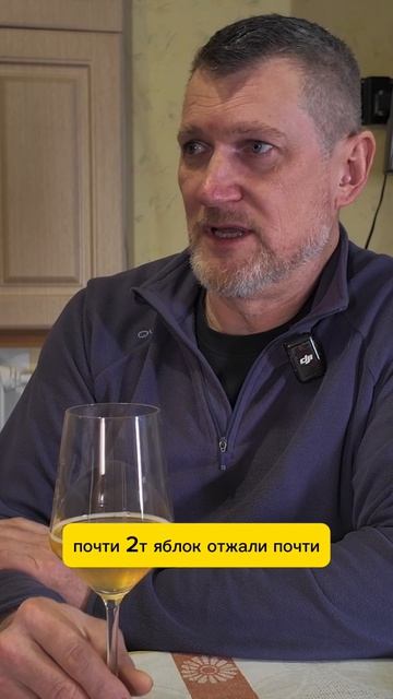 Как мы из провала сделали 1000 литров сидра 🍏 История за год #сидр #яблоки #напитки #производство